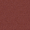 Burnt Red