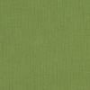 Spectrum Cilantro
